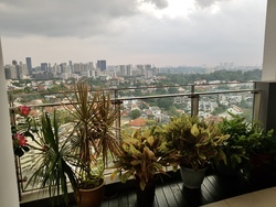 368 Thomson (D11), Condominium #224100541